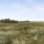 Bv102-blavand-nordslugen-6 *